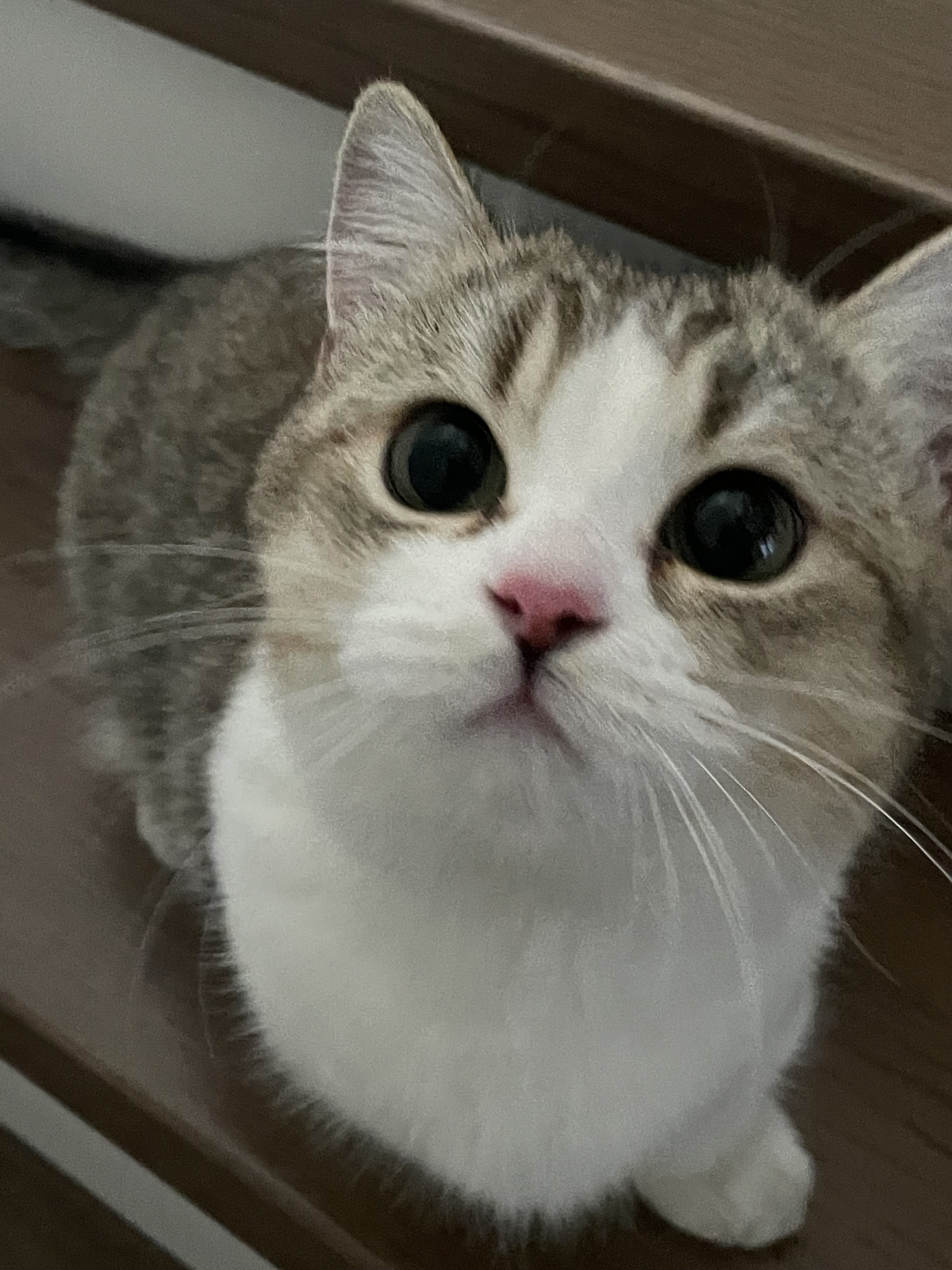Always curious